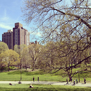 Le top 5 des parcs et jardins à visiter à New-York