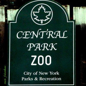 central park zoo